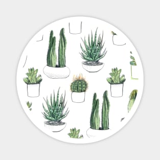 Watercolour Cacti & Succulents Magnet